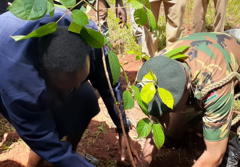Kisii County Plants 7000 Trees To Commemorate World Environment Day